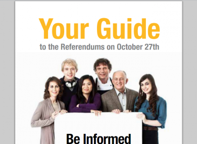 The Referendum Commission believes the word 'referendum' should be pluralised as if it was English - but some linguistic purists beg to disagree.