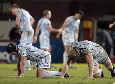 Welsh pundits are not giving Cardiff Blues much hope of beating Leinster on Saturday