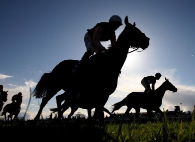 Riders at Fairyhouse yesterday.