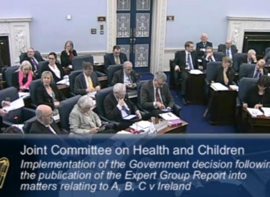 The Oireachtas Health and Children Committee hearings on abortion in January