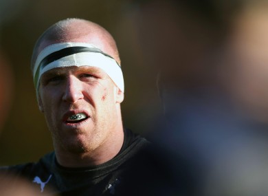 Paul O'Connell will earn his 87th cap for Ireland against Australia.
