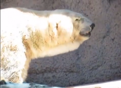 Arturo in the Argentinian sunshine.